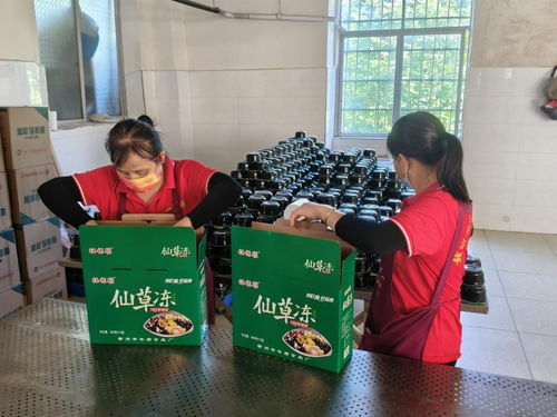 年順食品廠 守護(hù)贛南餐桌安全，共筑健康生活新未來